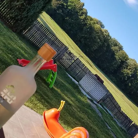 度假居 Kosmaj Casa Maia Ducina