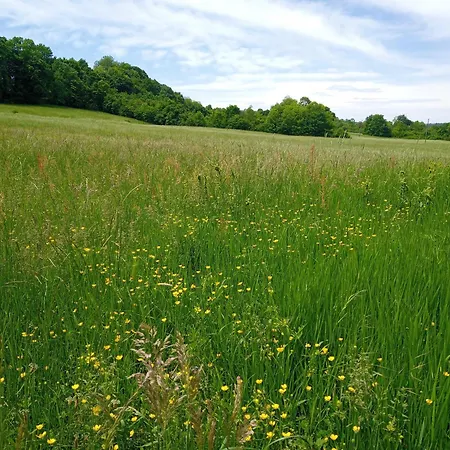 度假居 Kosmaj Casa Maia Ducina