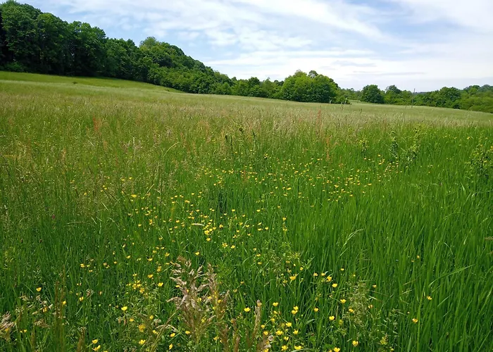 펜션 Kosmaj Casa Maia Ducina